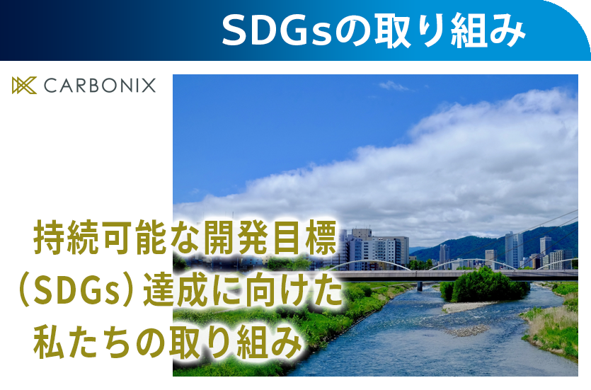 SDGs̎g